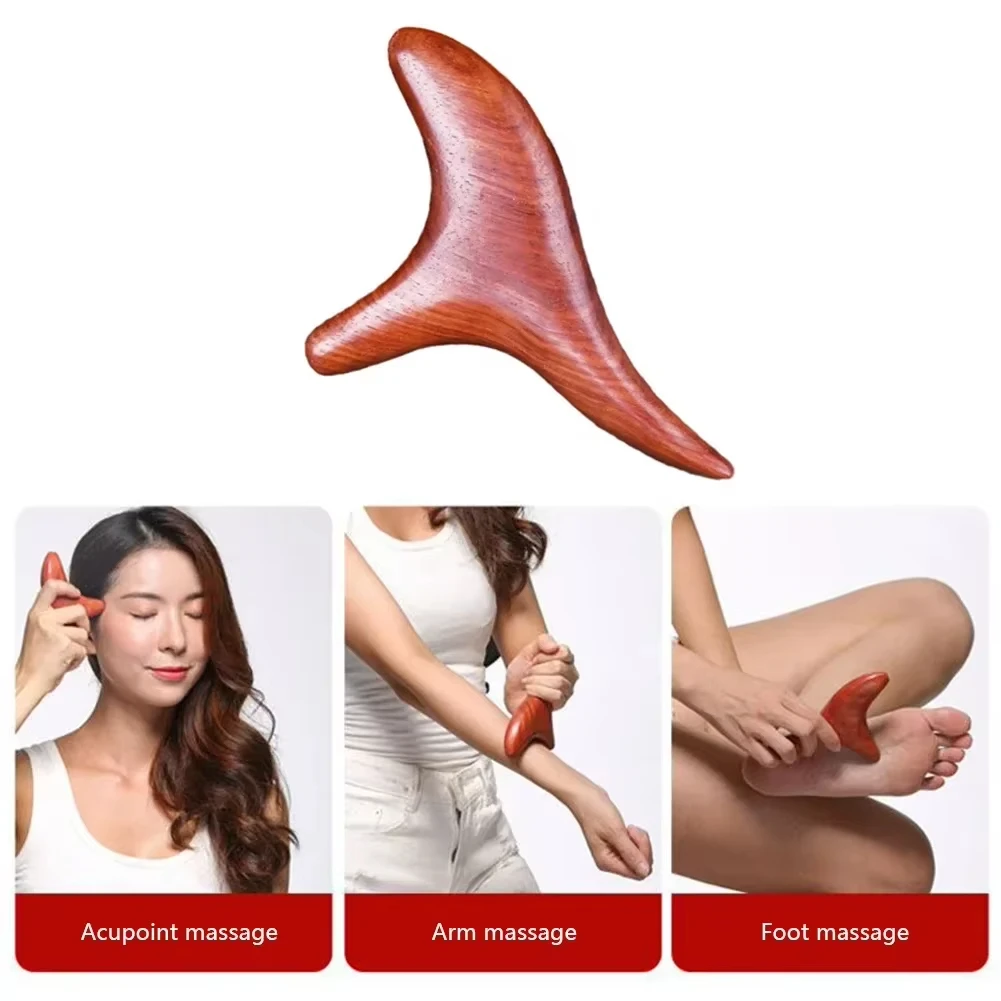 1PC for Back Leg Hand Face Hom - Home Gym Tools ulasan dan harga