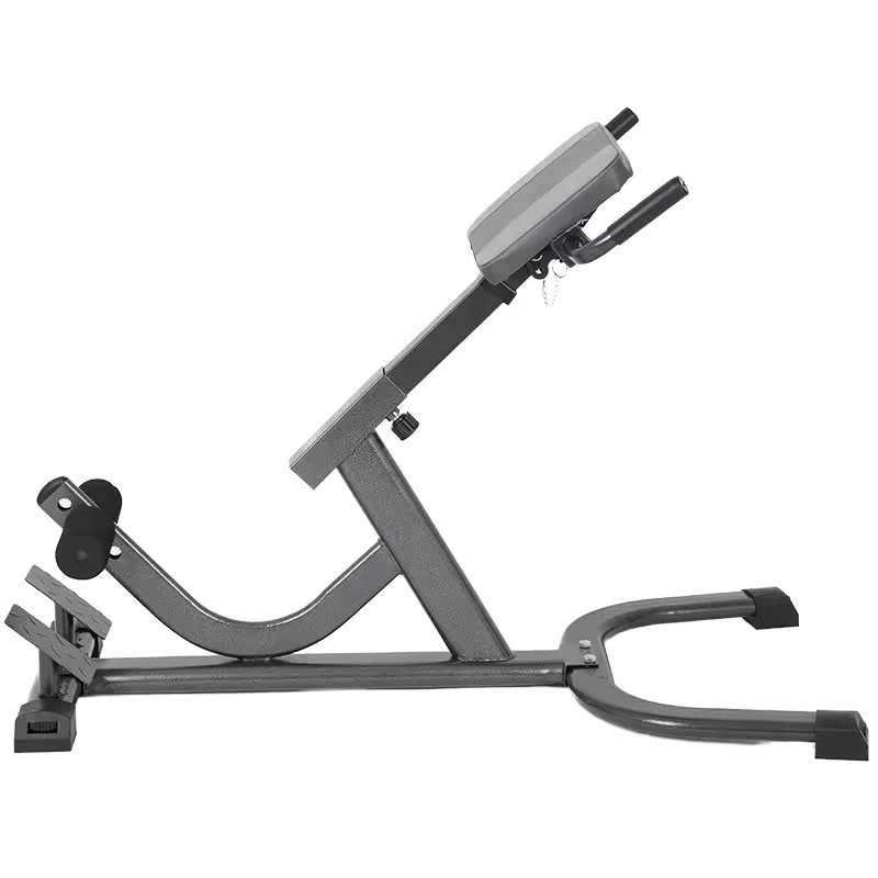 2026 Steel Roman Chair Adjusta - Home Gym Hamstring Exercises ulasan dan harga