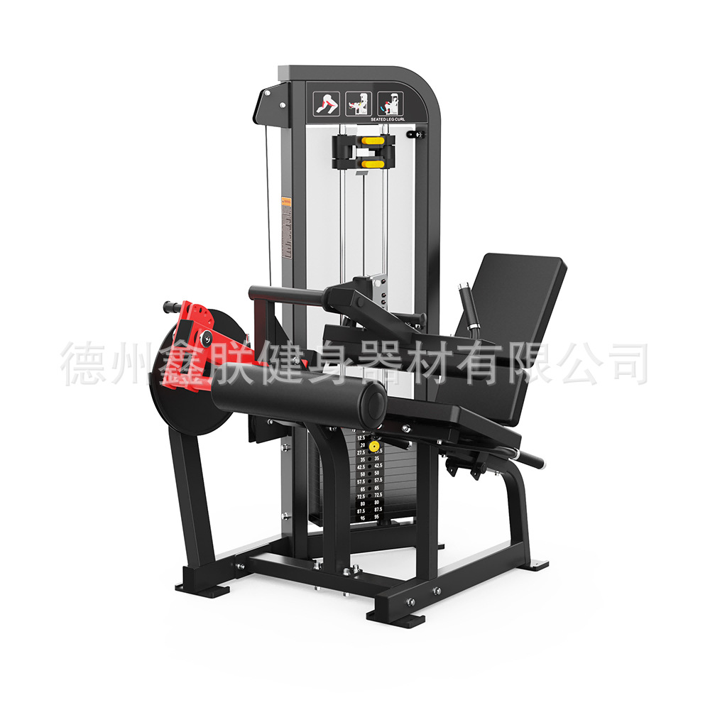 Gym Hammer Strength Equipment  - Home Gym Leg Extension Machine ulasan dan harga