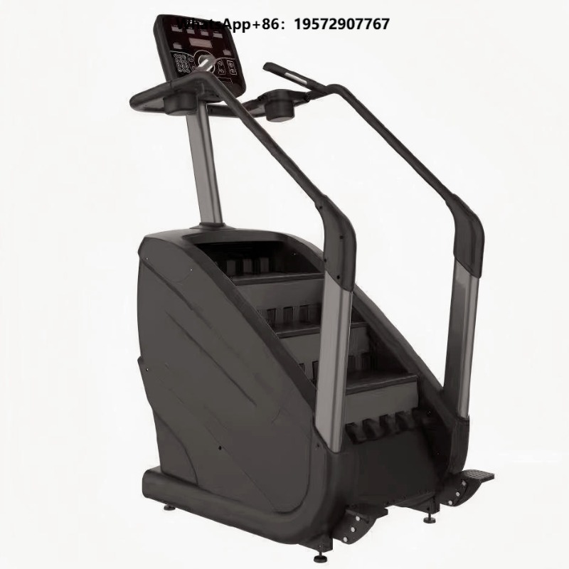 Commercial Cardio Equipment Fi - Home Gym Body Master ulasan dan harga