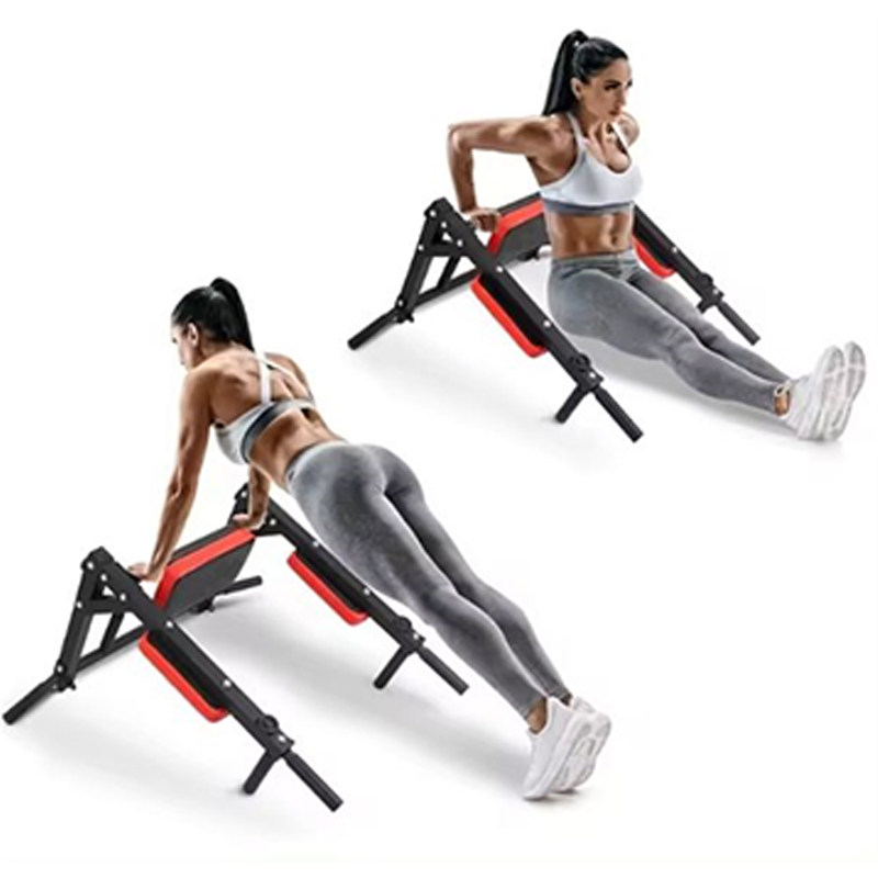 Heavy Duty Wall Mounted Parall - Home Gym Pull Up Bar ulasan dan harga