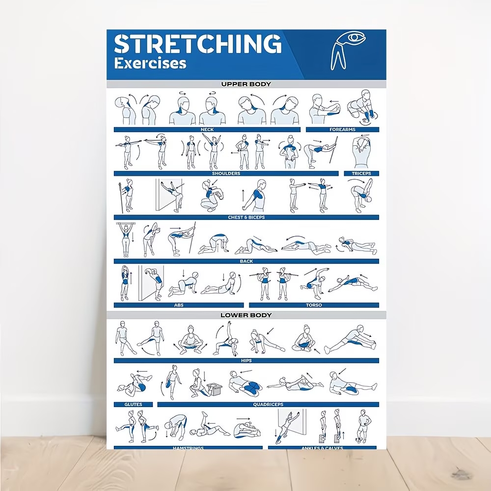 Modern Labeled Full-Body Stret - Home Gym Room ulasan dan harga