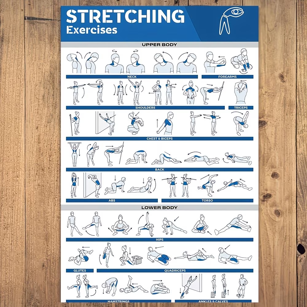 Modern Labeled Full-Body Stret - Home Gym Room ulasan dan harga