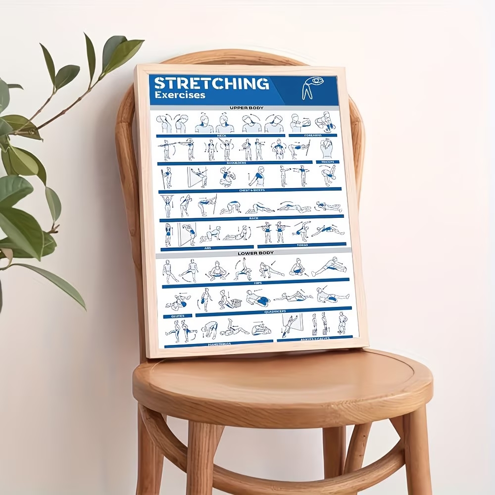 Modern Labeled Full-Body Stret - Home Gym Room ulasan dan harga