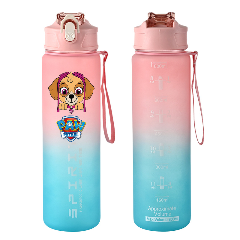 800ml PAW Patrol Sports Water  - Home Gym Room ulasan dan harga