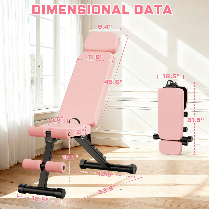 9 Position Adjustable Weight B - Home Gym Weight ulasan dan harga